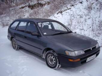 1991 Toyota Sprinter Wagon Pictures