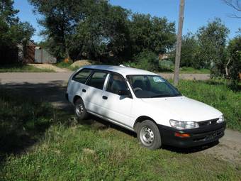 2002 Toyota Sprinter Wagon Pictures