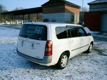 2003 Toyota Succeed Pictures