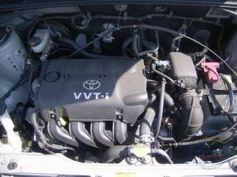 2003 Toyota Succeed Images