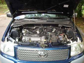 2003 Toyota Succeed Photos