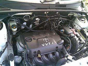 2004 Toyota Succeed Pics