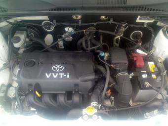2004 Toyota Succeed Pictures