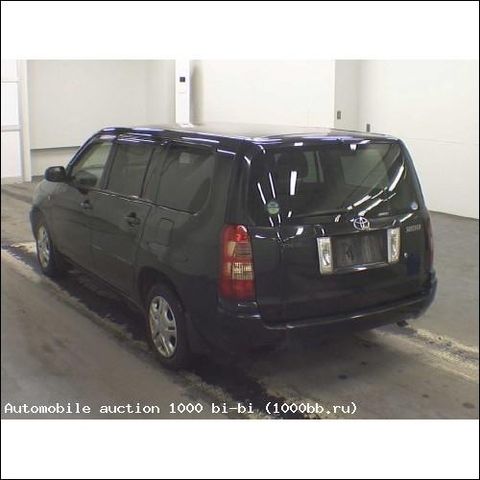 2005 Toyota Succeed