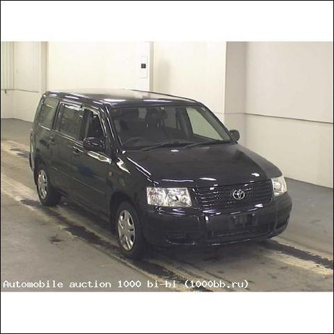 2005 Toyota Succeed