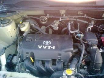 2005 Toyota Succeed Pics
