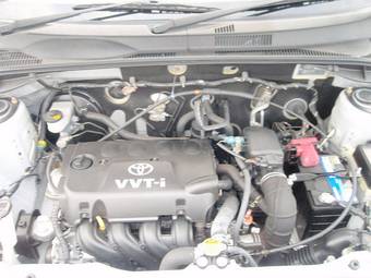 2005 Toyota Succeed Pictures