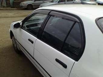 Tercel