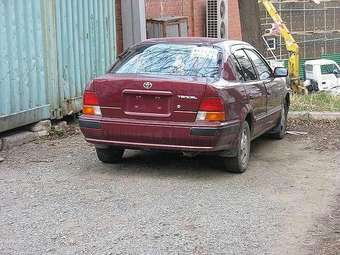 Tercel