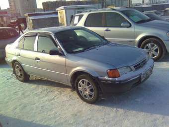 Tercel