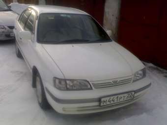 Tercel