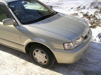 Tercel