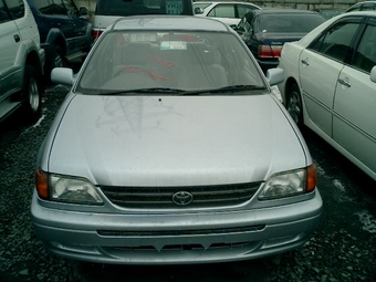 Tercel