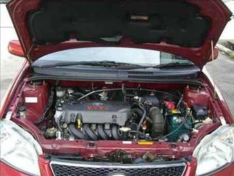 2004 Toyota Vios Pictures