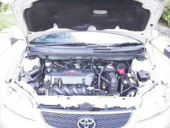 2004 Toyota Vios Pictures