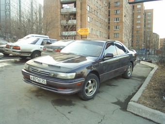 Vista