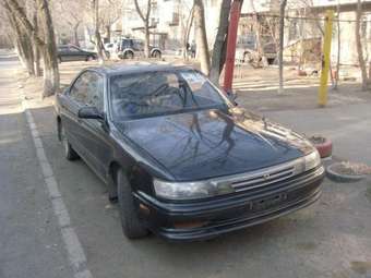 1991 Vista