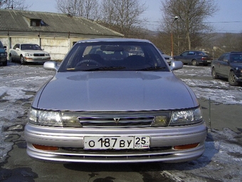Vista