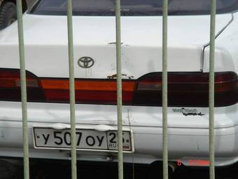 Toyota Vista