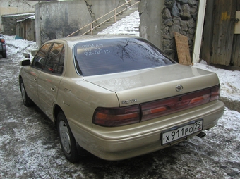 Vista