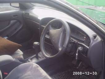 1993 Vista