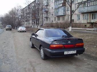 Vista