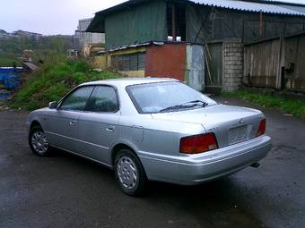 Vista