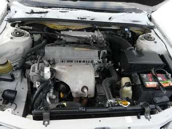 Toyota Vista