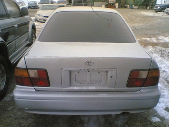 Vista