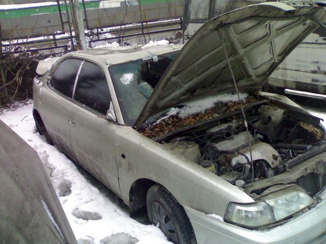 1996 Toyota Vista
