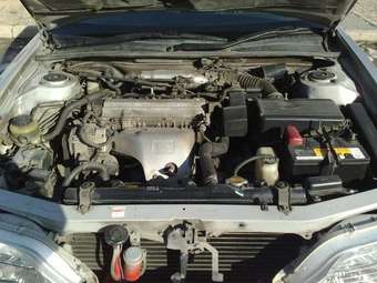 Toyota Vista