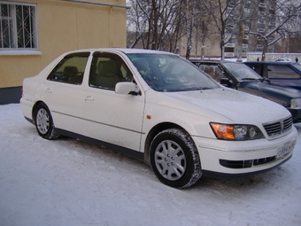 Vista