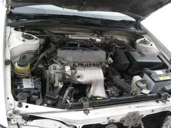 Toyota Vista
