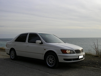 Vista