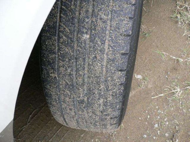 1999 Toyota Vista