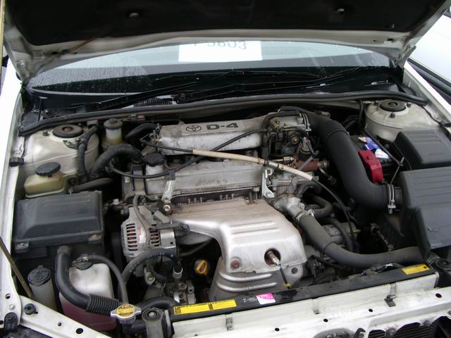 1999 Toyota Vista For Sale
