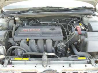 2003 Toyota Vista Photos