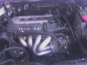 Toyota Vista Ardeo