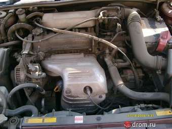 1998 Toyota Vista Ardeo Pictures