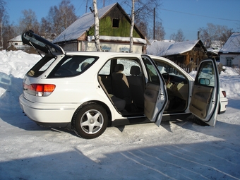 Toyota Vista Ardeo