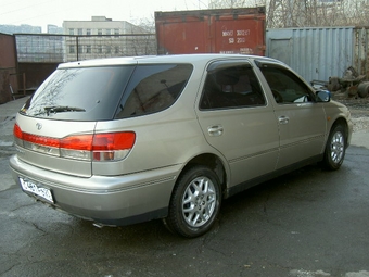 Toyota Vista Ardeo