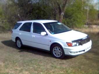 1999 Vista Ardeo