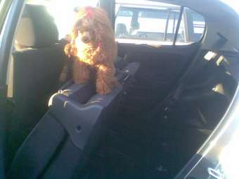 2002 Toyota Vitz Photos