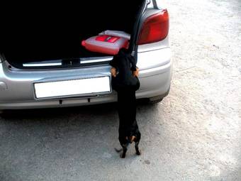 2003 Toyota Vitz Pictures