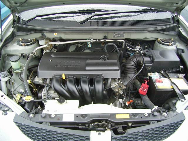 2002 Toyota Voltz Photos