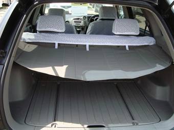 2002 Toyota Voltz Photos