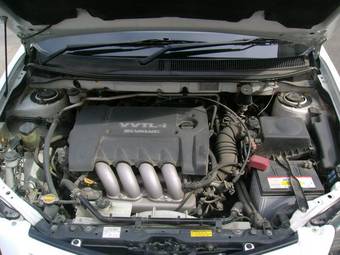 2004 Toyota Voltz Images