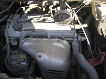 2002 Toyota Voxy Photos
