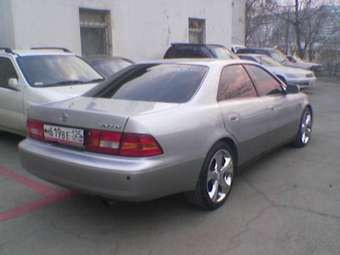 Windom