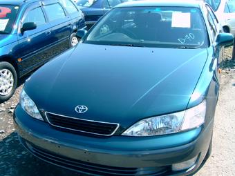 1998 Toyota Windom